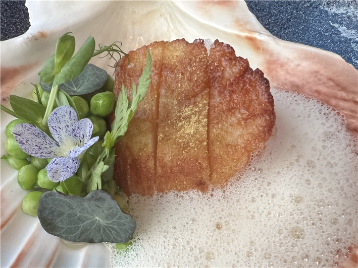 scallop